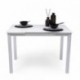 Mesa de cocina extensible PARIS WHITE sobre de cristal y estructura en metal blanco 110/170x70cm