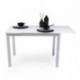 Mesa de cocina extensible PARIS WHITE sobre de cristal y estructura en metal blanco 110/170x70cm