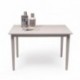 Conjunto de comedor KANSAS GRAY mesa y 4 sillas de comedor color gris