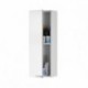 Columna de baño KONCEPT para colgar a la pared con 1 puerta color blanco brillo de 30x25x85 cm