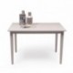 Mesa de comedor o cocina KANSAS color gris