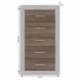 Sinfonier de 5 cajones COIMBRA color cambrian/blanco, cambrian/antracita y pina/trufle 60x106,3x39,6 cm