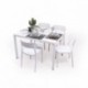 Conjunto de Jardín  de  Mesa Rectangular AMBAR  y 4 Sillas EYRE  de Polipropileno