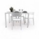 Conjunto de Jardín  de  Mesa Rectangular AMBAR  y 4 Sillas EYRE  de Polipropileno