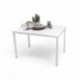 Conjunto de Jardín  de  Mesa Rectangular AMBAR  y 4 Sillas EYRE  de Polipropileno