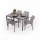 Conjunto de Jardín de  Mesa Rectangular AMBAR  y 4 Sillas con Brazos EMI en polipropileno