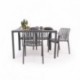 Conjunto de Jardín de  Mesa Rectangular AMBAR  y 4 Sillas con Brazos EMI en polipropileno