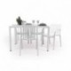 Conjunto de Jardín de  Mesa Rectangular AMBAR  y 4 Sillas con Brazos EMI en polipropileno