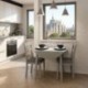 Conjunto de comedor DALLAS GREY mesa de comedor redonda extensible y 2 sillas de comedor